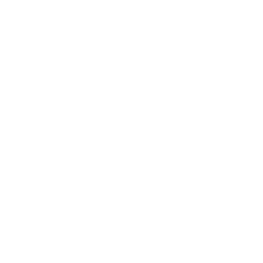 Asset Manager Icon